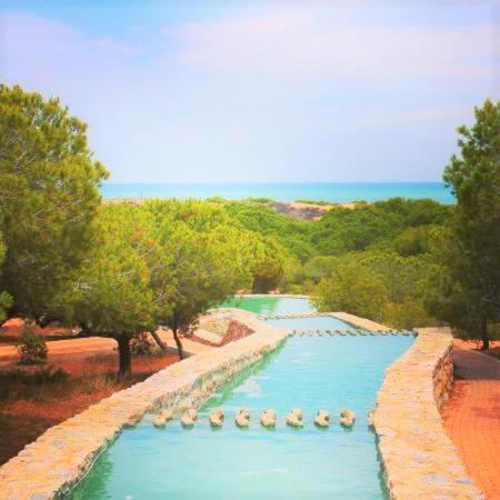 Apartment With Pool, Sea Views & Balcony Less Than 10Min Walk To La Mata Beach! Torrevieja Exteriér fotografie