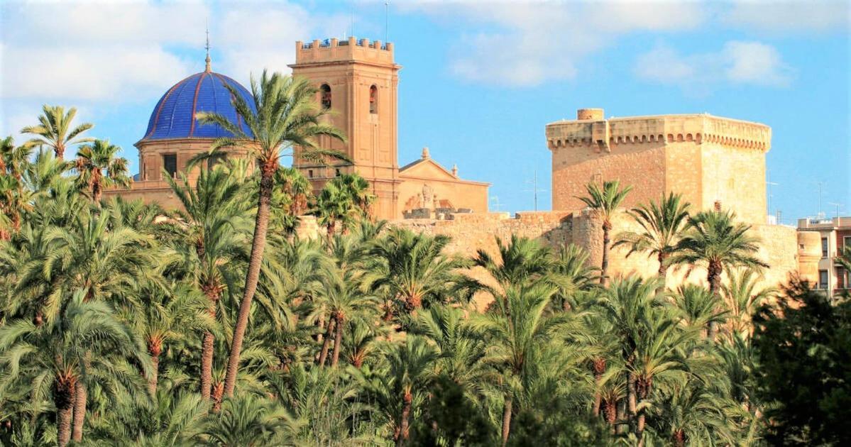 Apartment With Pool, Sea Views & Balcony Less Than 10Min Walk To La Mata Beach! Torrevieja Exteriér fotografie